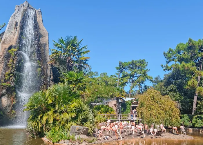 Proche Apartamento *